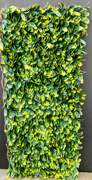 Collapsible Artificial Hedge