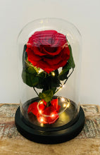Load image into Gallery viewer, 6.5in Enchanted Forever Rose *Sale*
