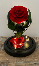 Load image into Gallery viewer, 6.5in Enchanted Forever Rose *Sale*
