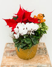 Load image into Gallery viewer, Christmas Combo Mix Decorative Bowl
