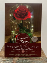 Load image into Gallery viewer, 6.5in Enchanted Forever Rose *Sale*
