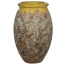 Load image into Gallery viewer, Biot Olive
