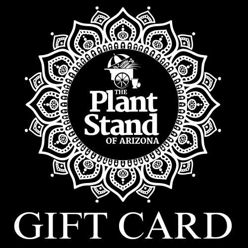 Plant Gift Cards | The Plant Stand of Arizona Plant Gift Cards | The Plant Stand of Arizona