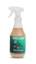 Load image into Gallery viewer, Green Guard
