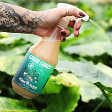 Load image into Gallery viewer, Pet-safe plant pest spray made with botanical oils
