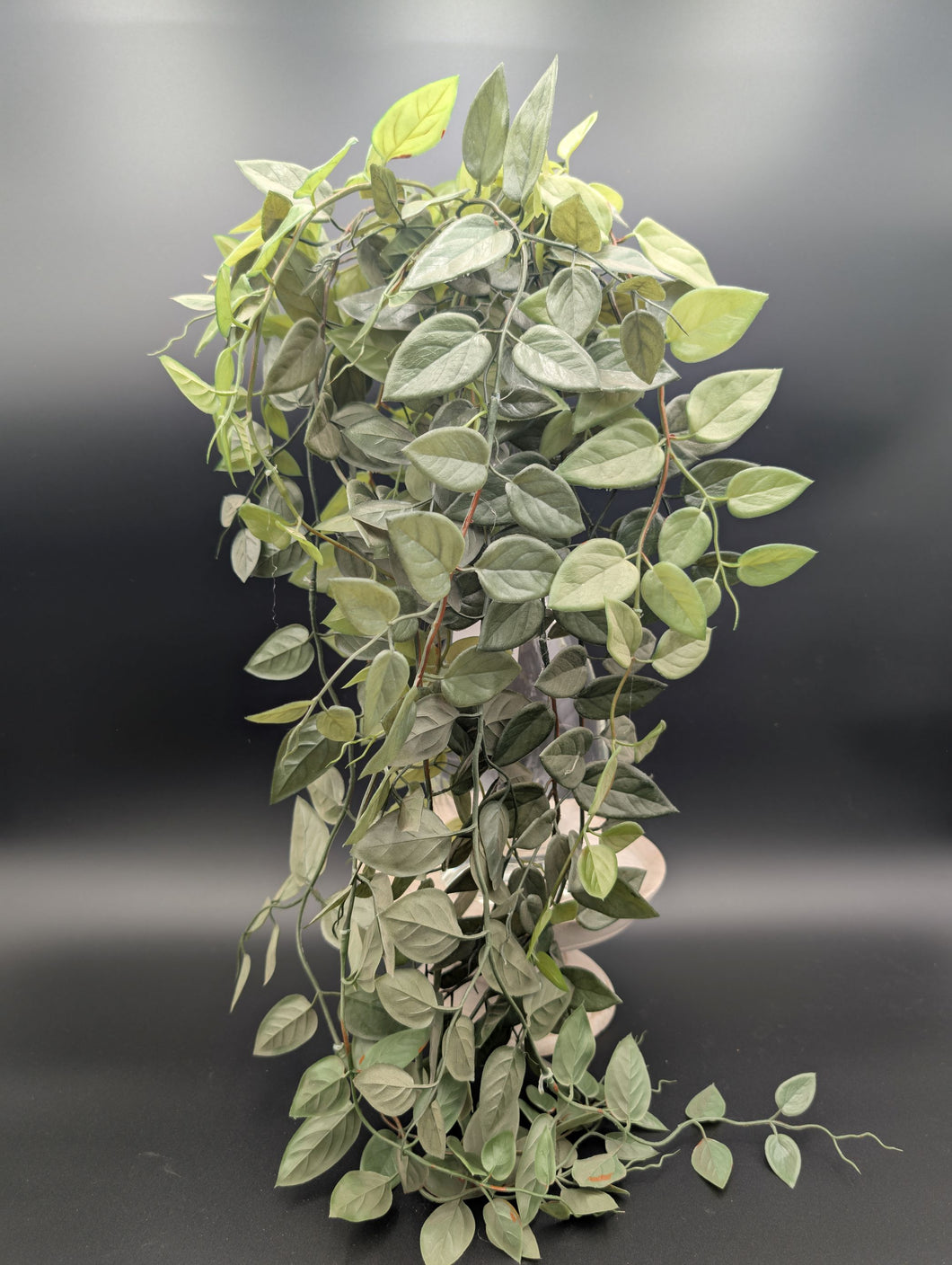 Artificial Lipstick Plant