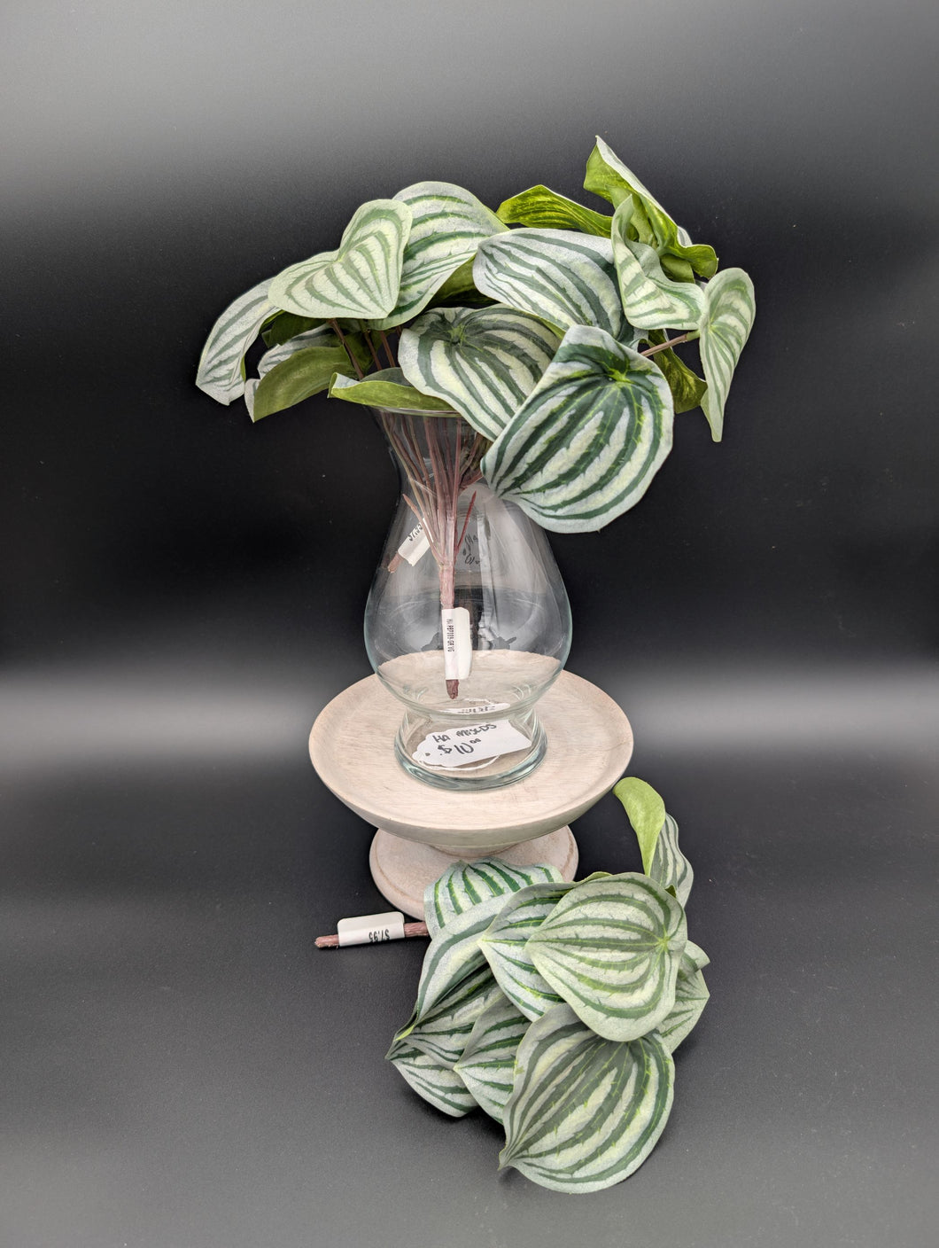 Artificial Watermelon Peperomia