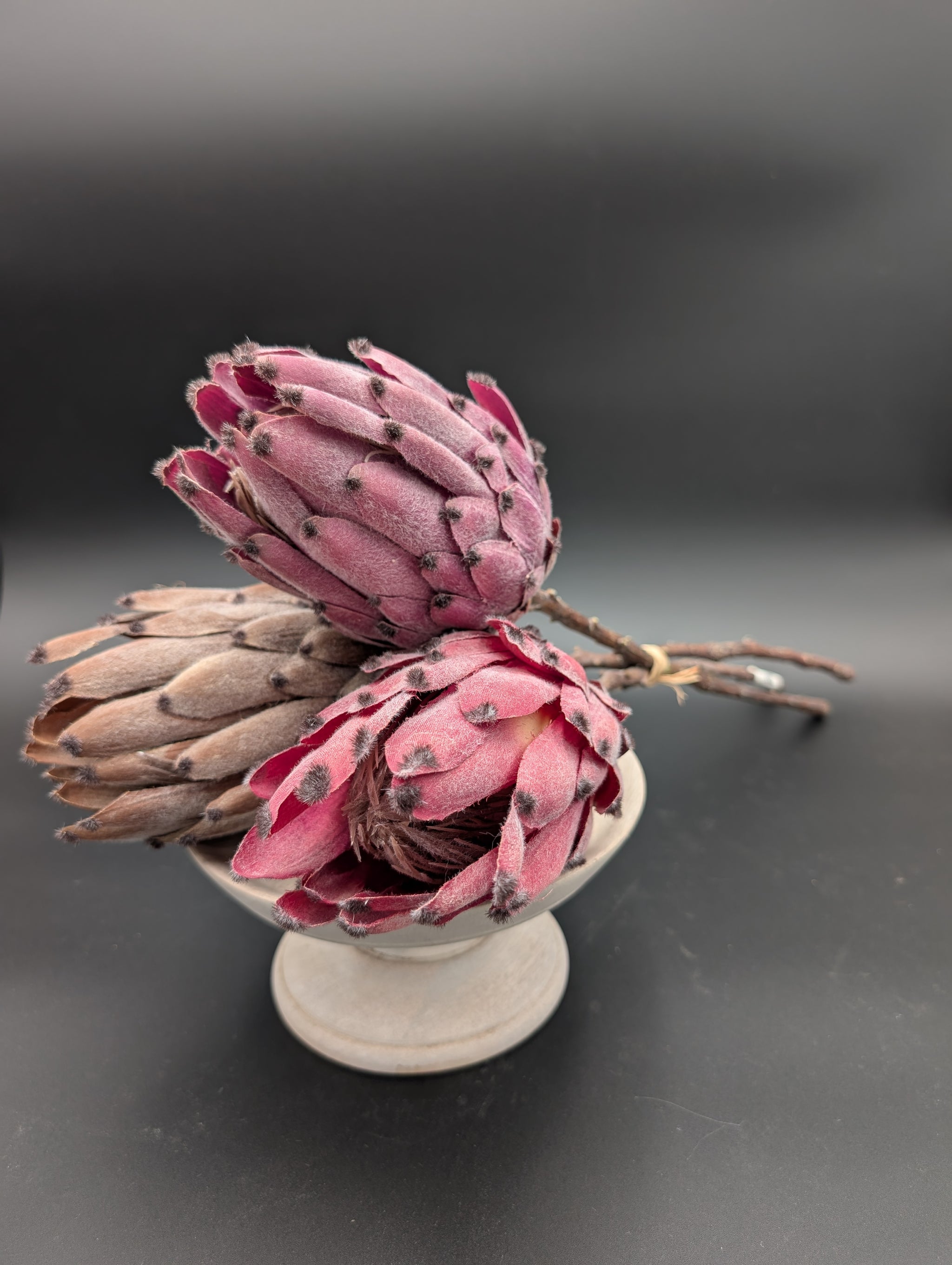 Casa Blanca Boutique – The Plant Stand of Arizona
