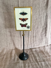 Load image into Gallery viewer, Double-Sided Photo Frame (LG)
