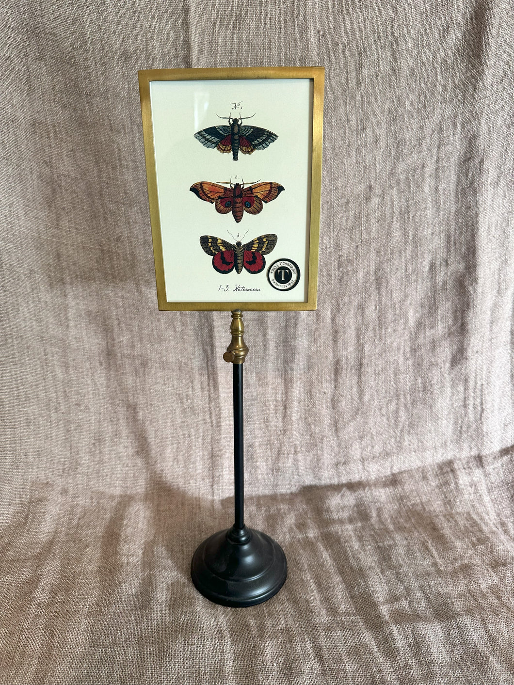 Double-Sided Photo Frame (LG)