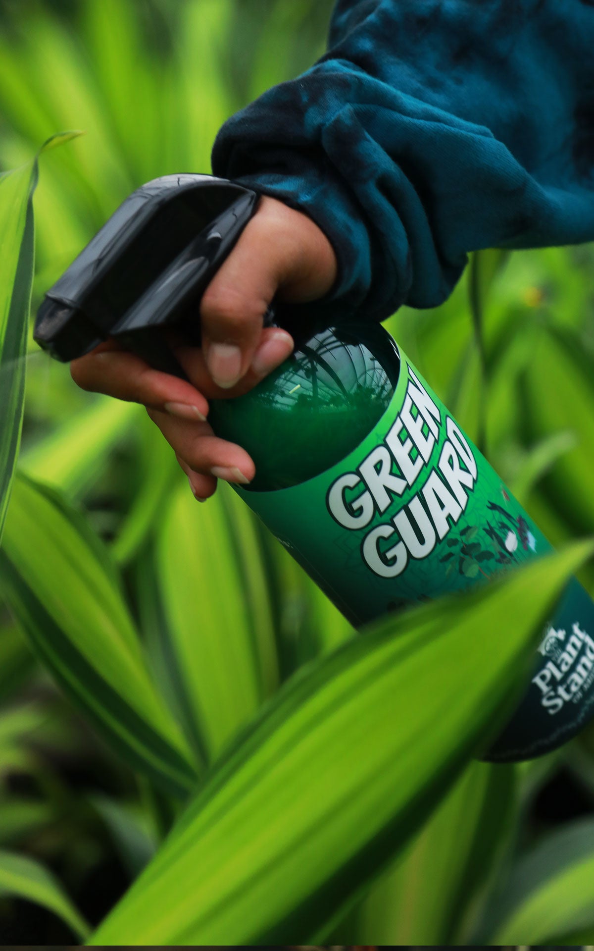 natural pest control for indoor plants Green Guard Natural Pest Control Spray