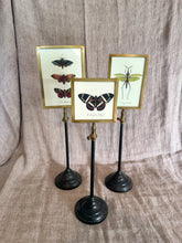 Load image into Gallery viewer, Double-Sided Photo Frame (LG)
