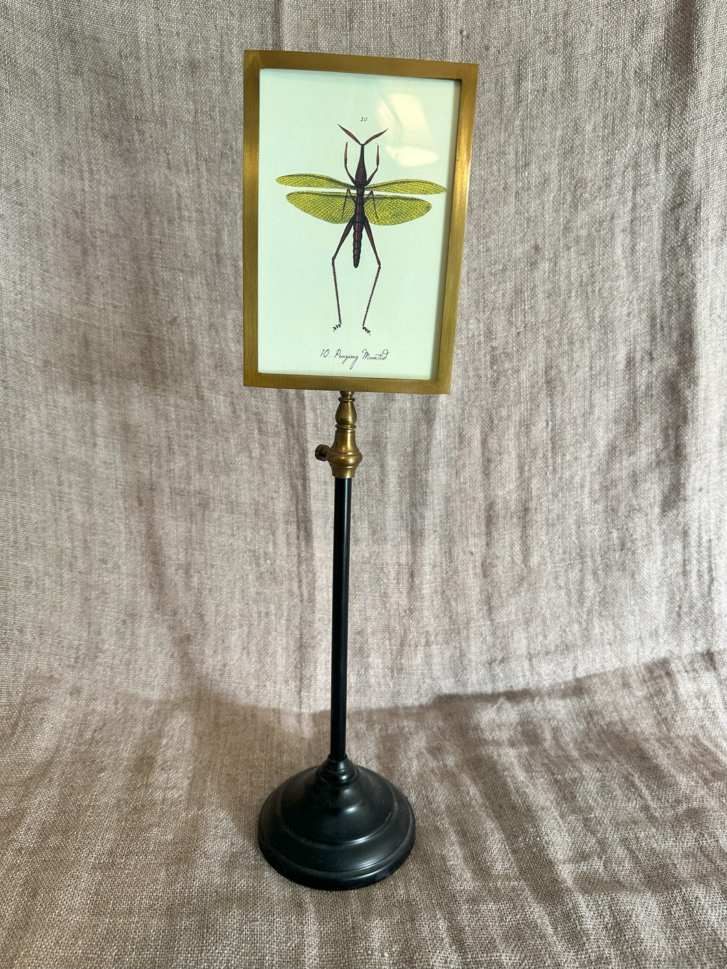 Double-Sided Photo Frame (MED)