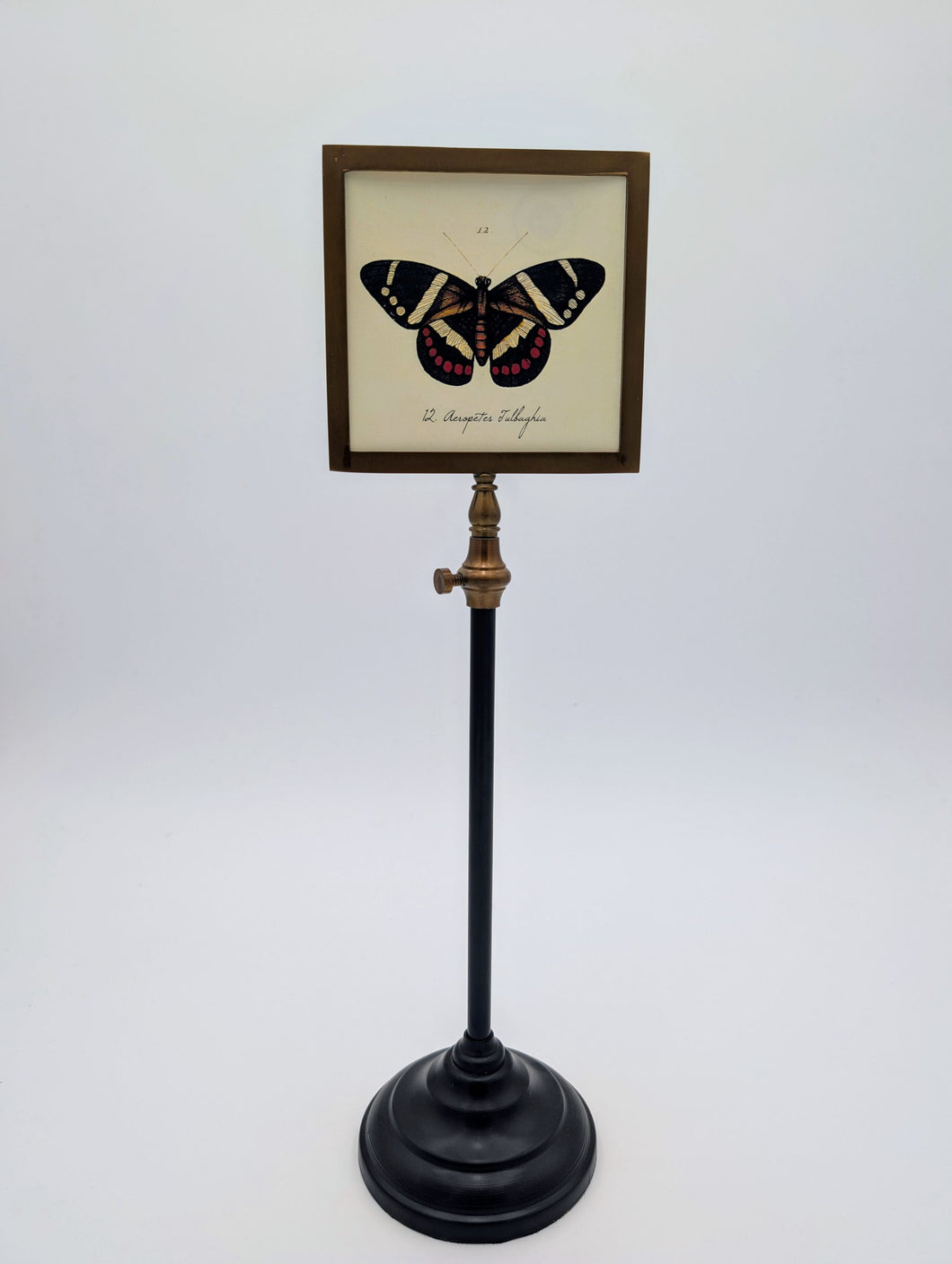 Double-Sided Photo Frame (SM)