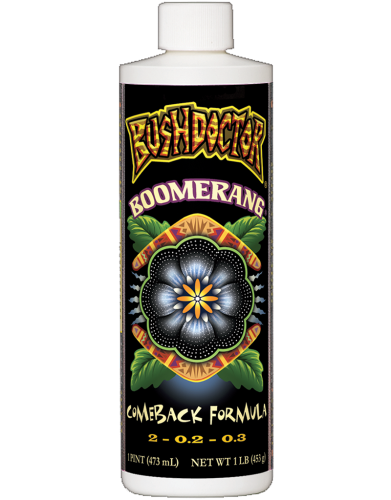 FoxFarm Boomerang