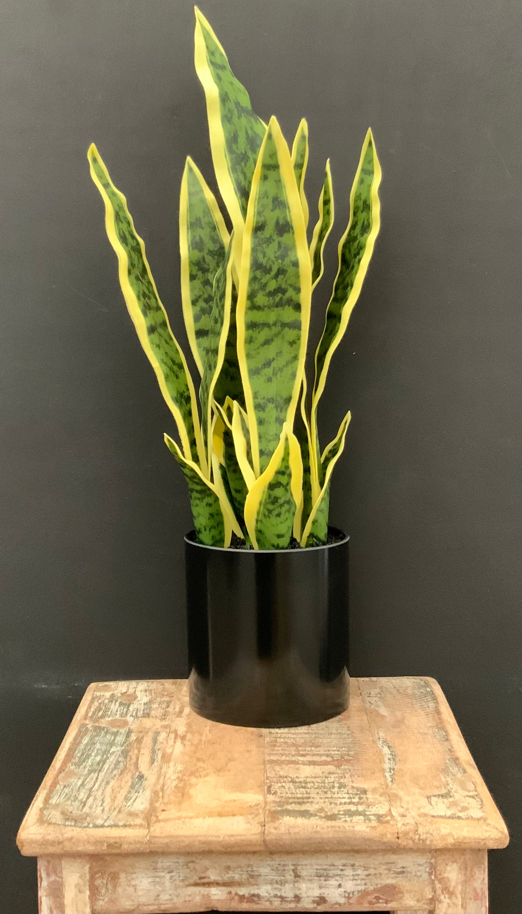 19” Premium Artificial Sansevieria in Black Pot