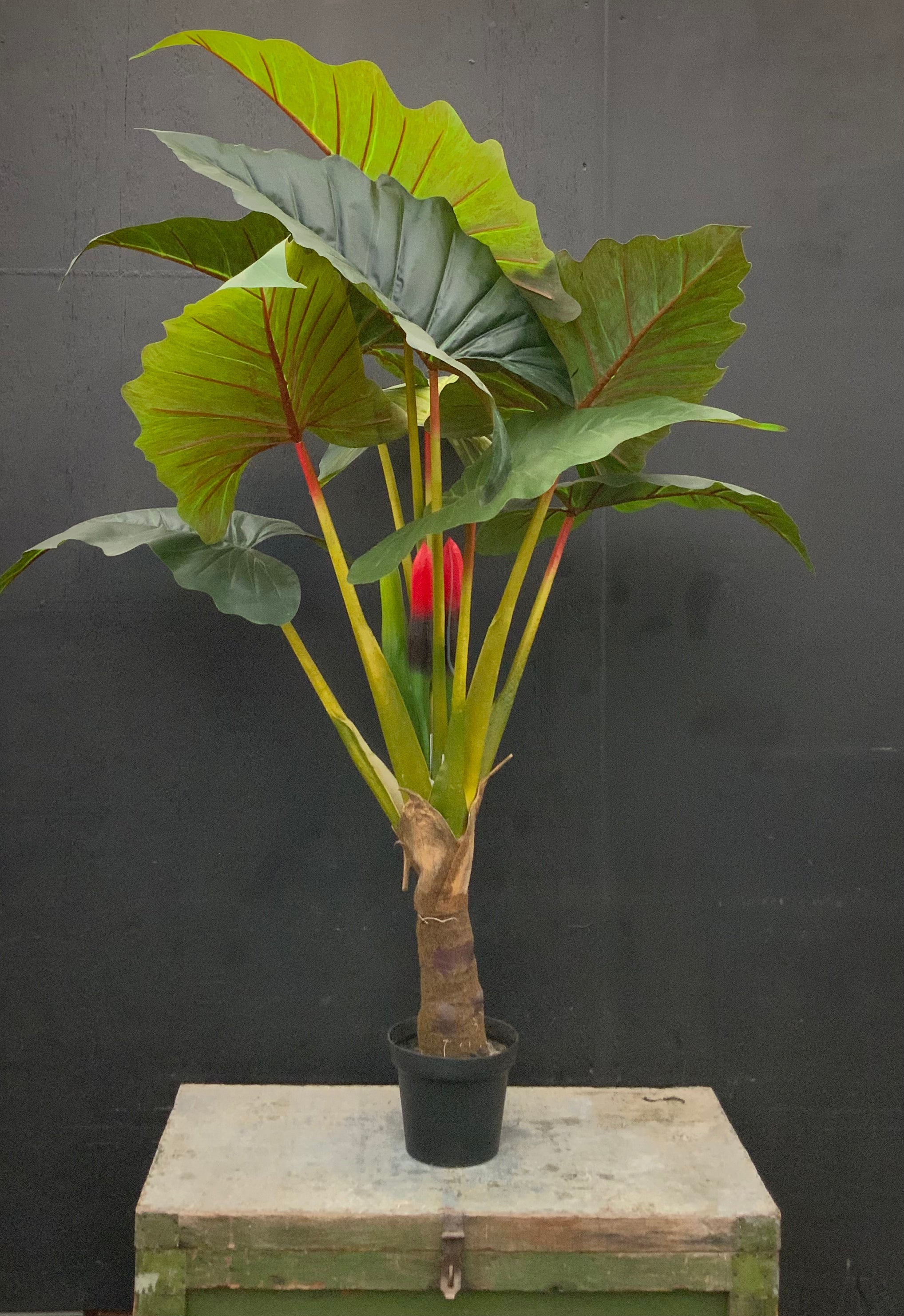 philodendron arizona Premium Artificial Philodendron Red Princess – The Plant Stand of Arizona
