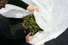 Load image into Gallery viewer, DeWitt N-sulate frost protection cloth
