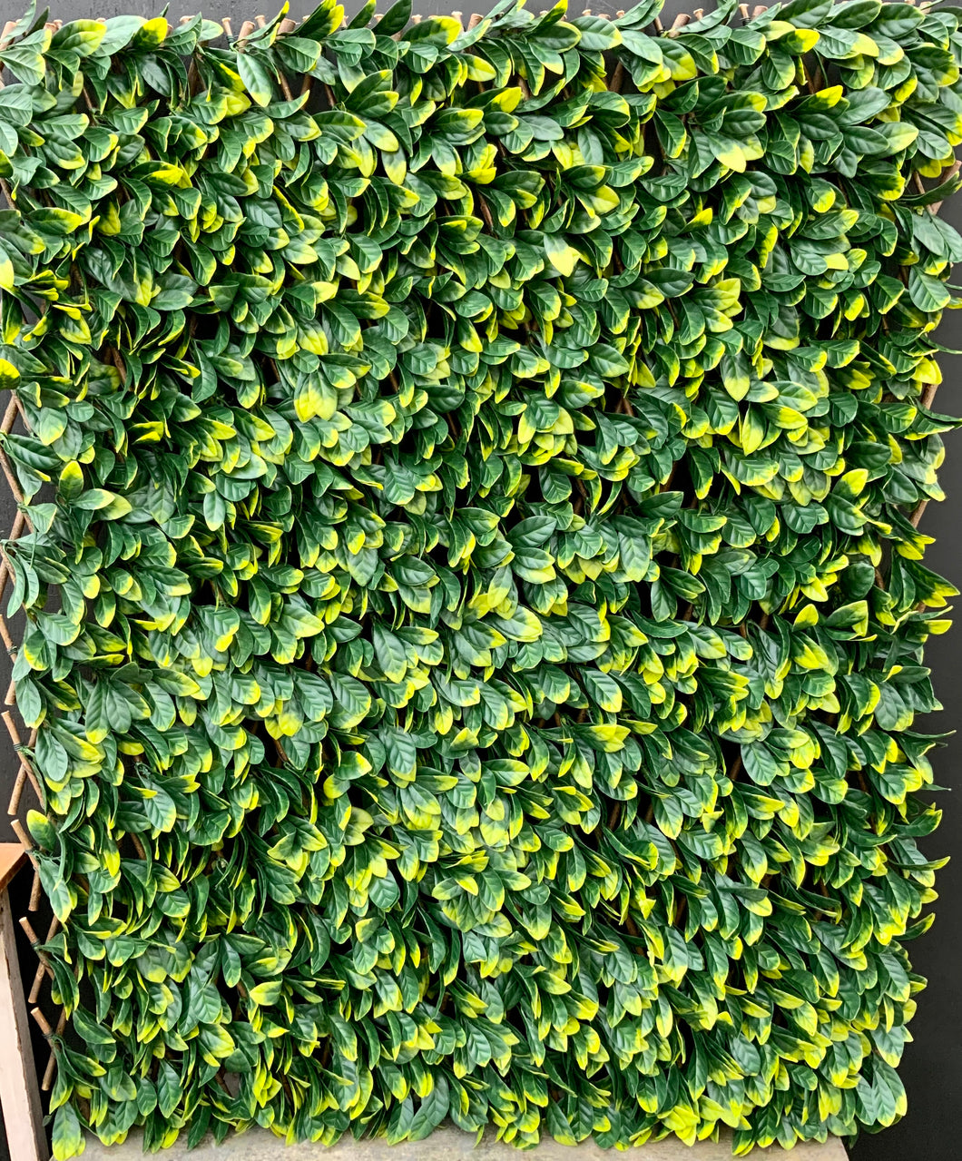 Collapsible Artificial Hedge