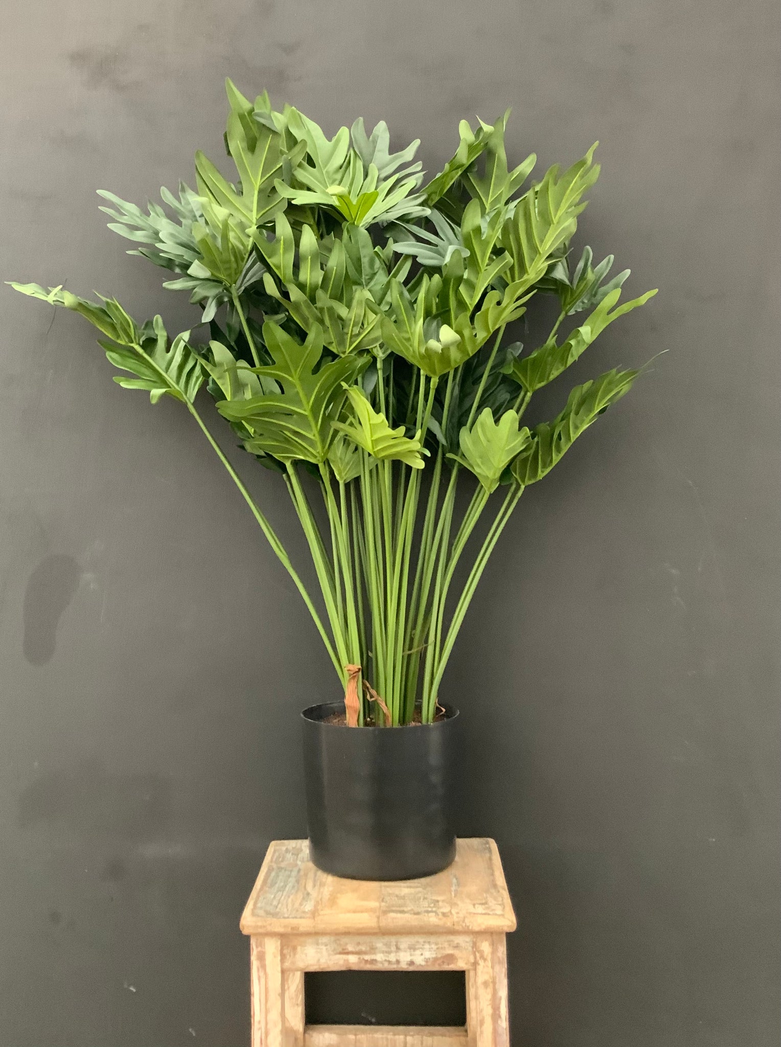 29.5” Premium Artificial Selloum Philodendron