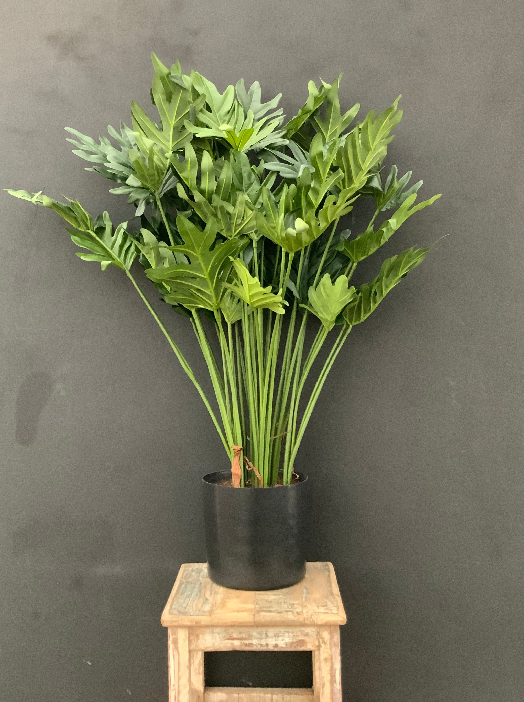 philodendron selloum buy 29.5” Premium Artificial Selloum Philodendron – The Plant Stand of Arizona