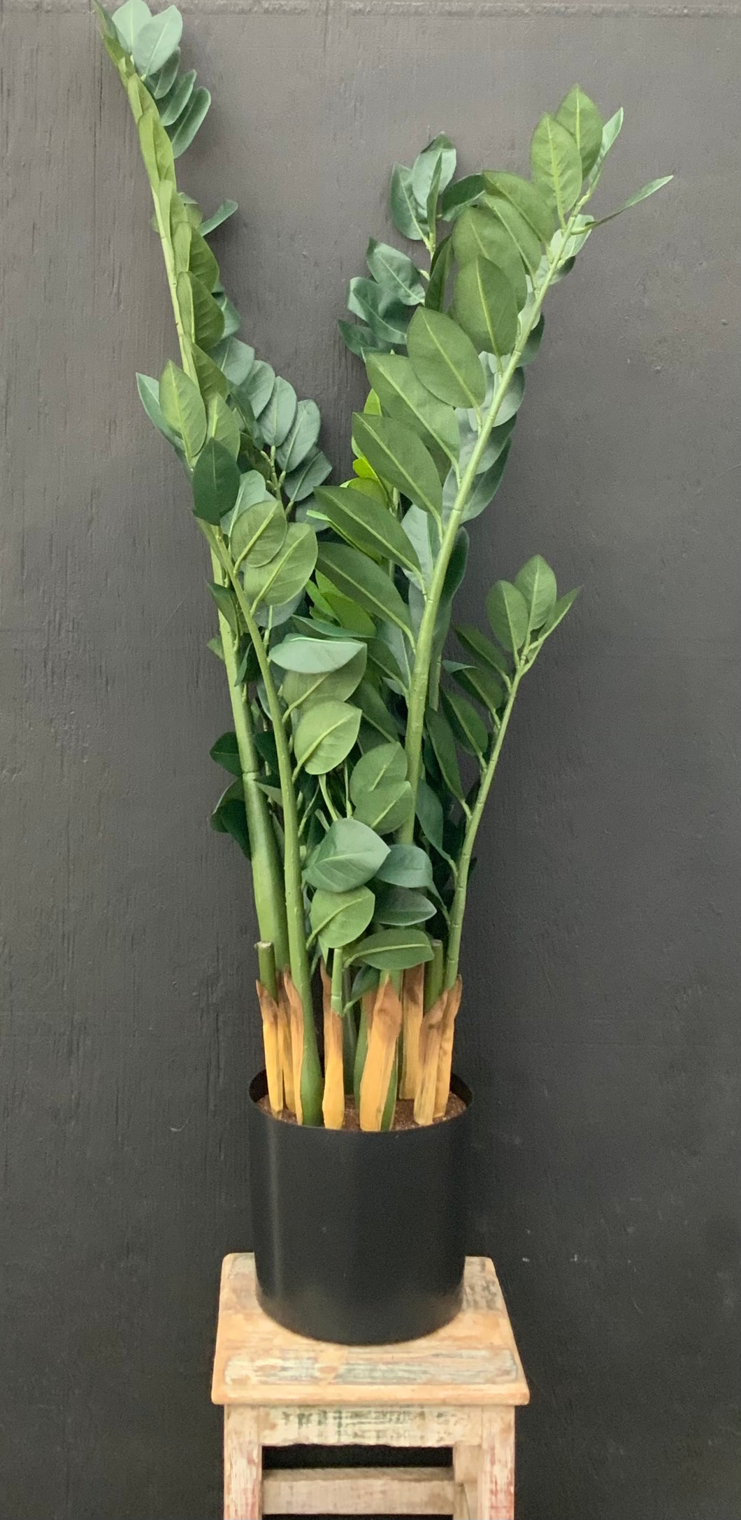 42” Premium Artificial Zamia