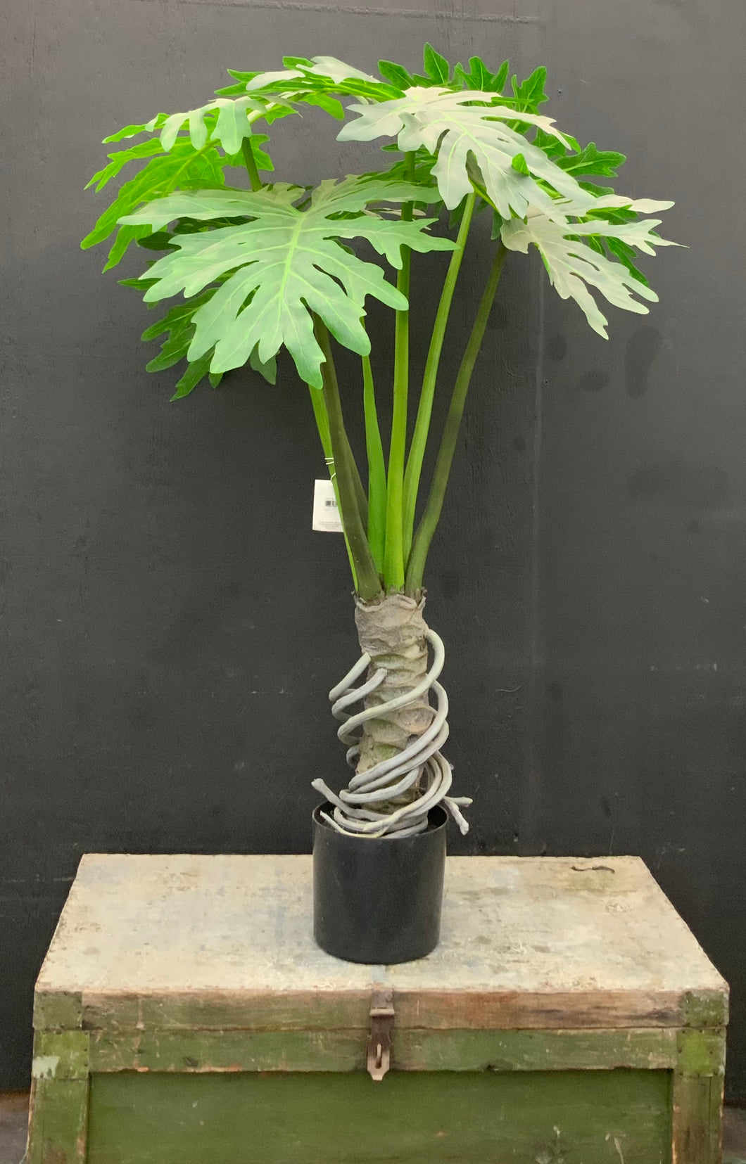 4ft Premium Artificial Plume Split Leaf